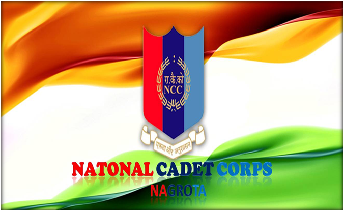 Downloadable NCC Logos